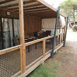 La Tamarissière