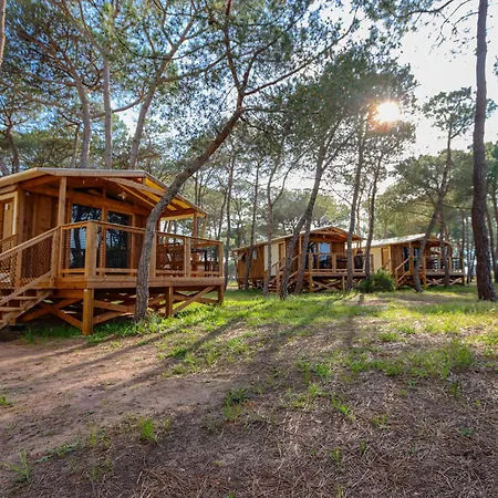 Campsite La Tamarissiere