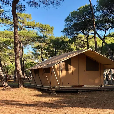 La Tamarissiere *