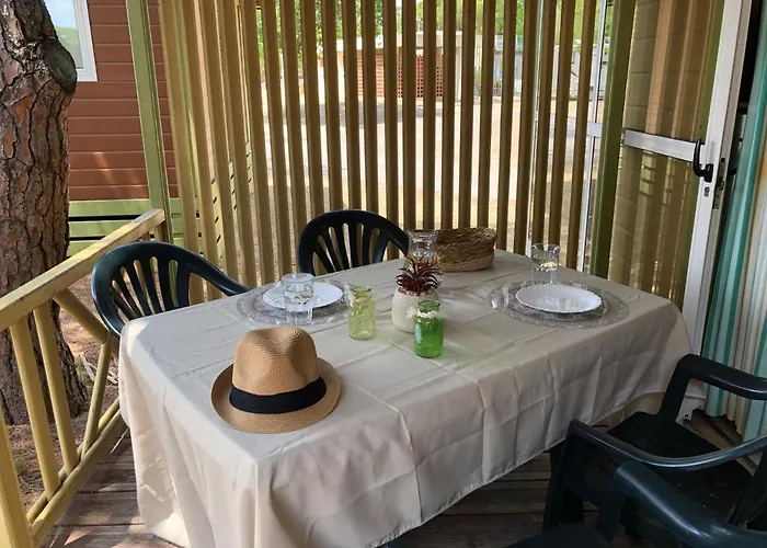 مكان تخييم La Tamarissiere آجد