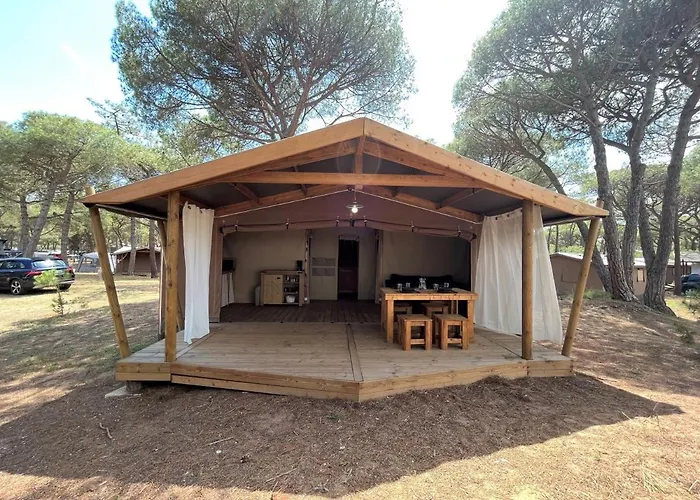 مكان تخييم La Tamarissiere آجد