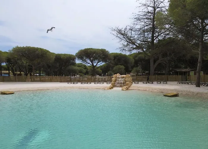 مكان تخييم La Tamarissiere