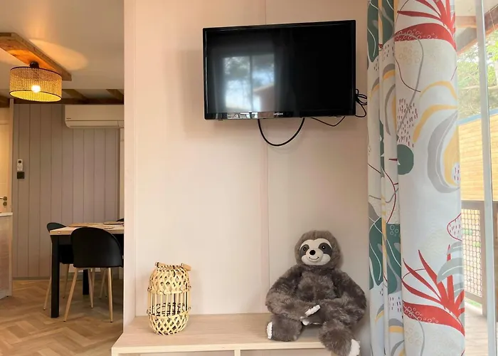 مكان تخييم La Tamarissiere آجد