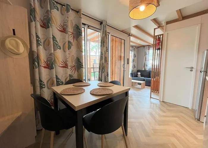 مكان تخييم La Tamarissiere آجد