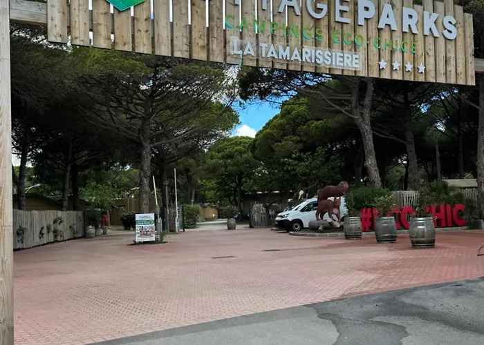 مكان تخييم La Tamarissiere آجد