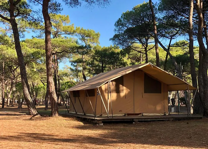 La Tamarissiere *
